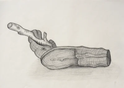 A pencil drawing of a wooden log